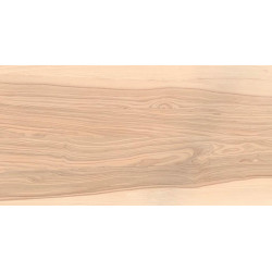 PIEZA FRESNO OLIVATO